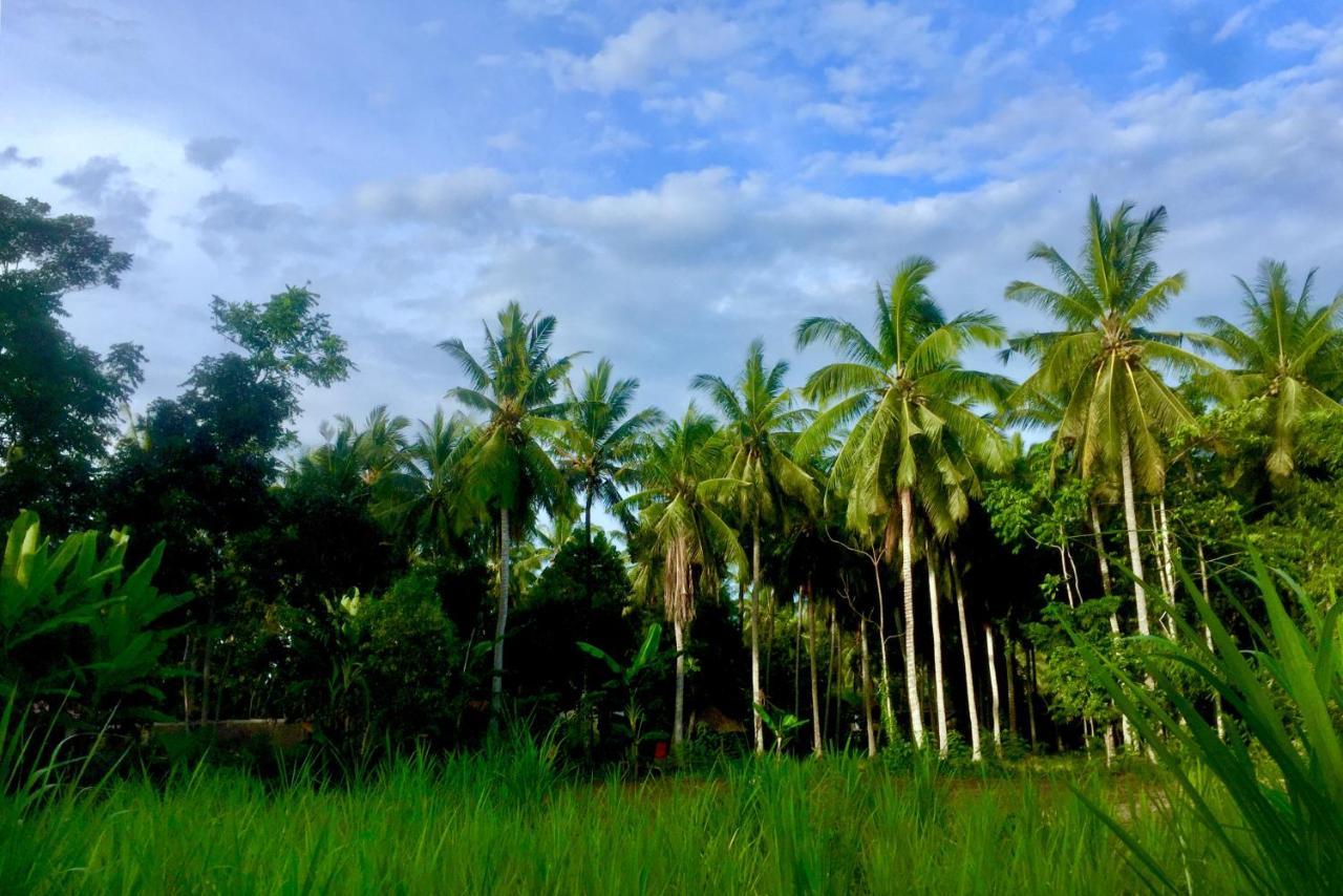 Chemel Homestay Kuta  ภายนอก รูปภาพ