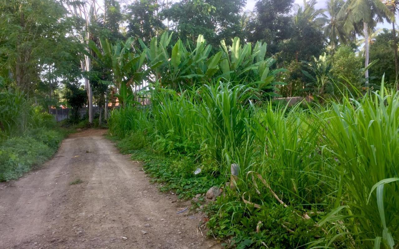 Chemel Homestay Kuta  ภายนอก รูปภาพ
